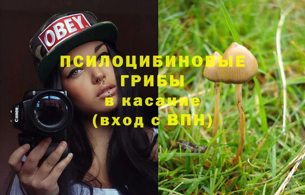 меф Медногорск
