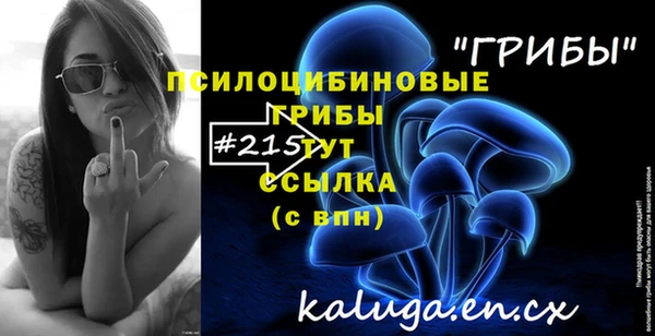 меф Медногорск
