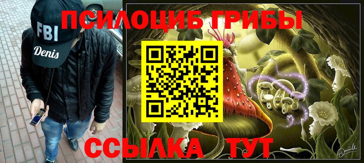 Псилоцибиновые грибы Psilocybe Старый Оскол