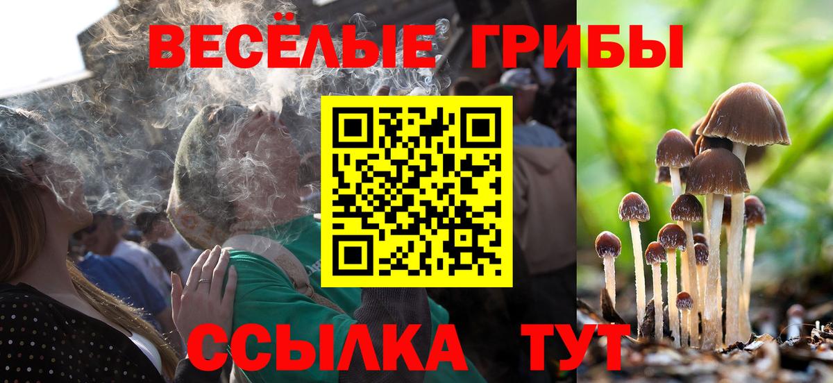 Старый Оскол  Псилоцибиновые грибы Magic Shrooms  Вход с VPN  Псилоцибиновые грибы GOLDEN TEACHER 