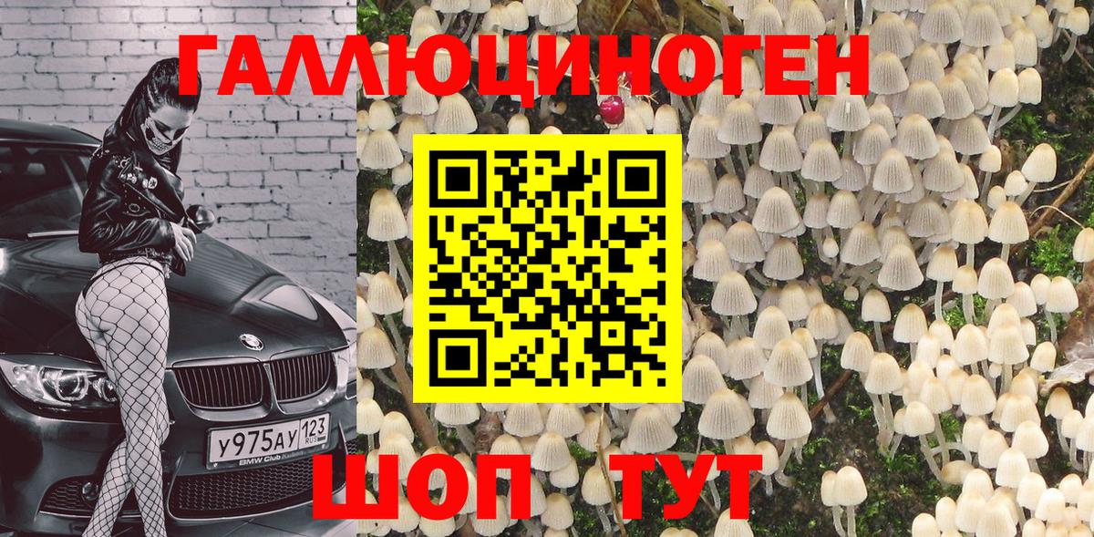 Псилоцибиновые грибы Psilocybe  Старый Оскол  Псилоцибиновые грибы Magic Shrooms 